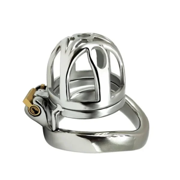 Small Cage Anti Pull Out Chastity Steel Cage Cock Cage Lock Penis for Men