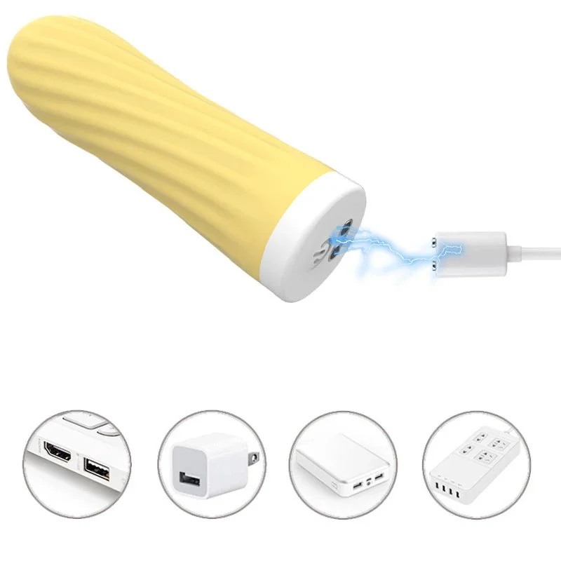 Rechargeable Quiet G Spot Multi Speed Vibrating Bullet Mini Powerful Bullet Vibrator Sex Toy