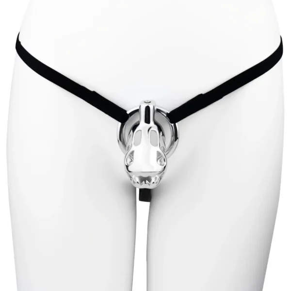 Male Chastity Cage with Belt & Invisible Lock - 4 Ring Sizes Metal Penis Cage Wearable Bondage Sex Toys Accessories for Men