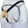 Seashell Male Chastity Cage with Anal Plug SM Anal Intercourse Penile Bondage Attack From Front and Rear Sex Toy for Man
