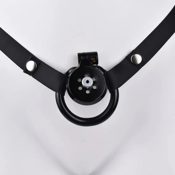 New Adult Male Chastity Lock Cock Cage Urethral Catheter Chastity Cage for Men Four Sizes Sex Toys for Man Resin Toys