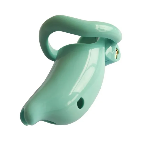 Resin Chastity Lock Chastity Cage Cock Cages Prevent Man Masturbation Sex Toys Male Sex Products for Male