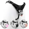Wearable Sissy Chastity Device,Chastity Cage Device with Chastity Cage Strap,Cock Cage with Belt Adult BDSM Sex Toy for Men