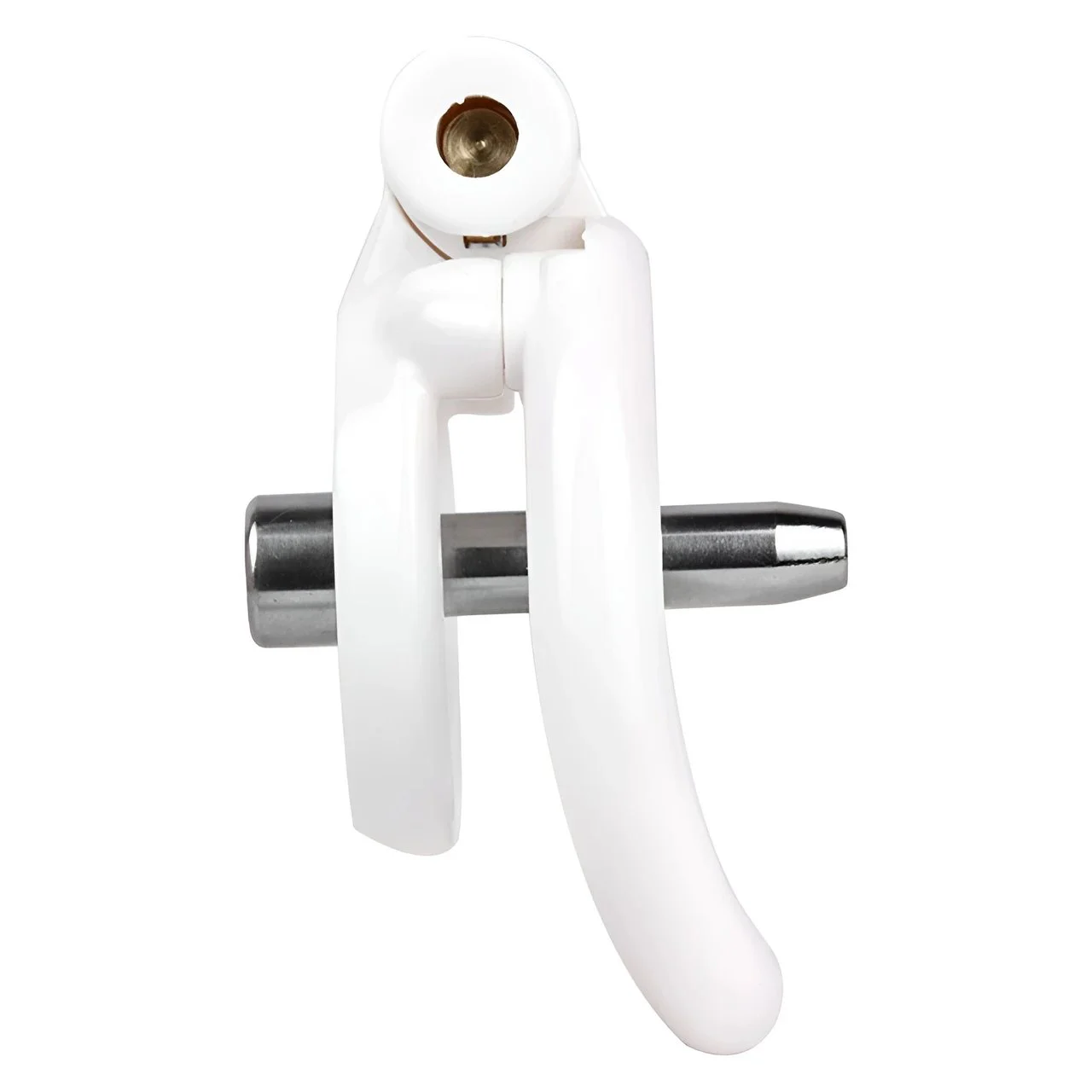 New Male Chastity Cage with Lock Urethral Catheter Penis Ring Cock Cage for Men, 4 Sizes Available