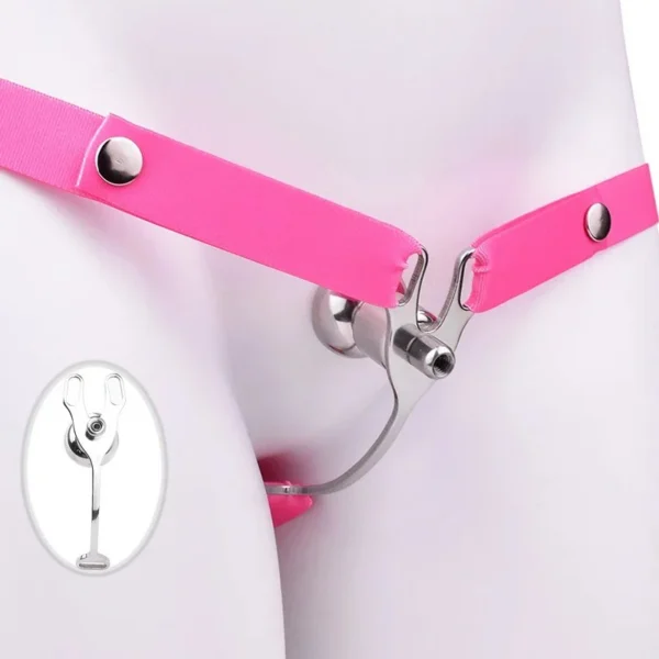 Sissy Vaginal Cage Disc Chastity Cock Cage for Sissy and Women Sissy Chastity Cage Device Male BDSM Collection Toy