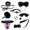 10 piece bundle restraint sex toy women's sex toy bunny set thong
