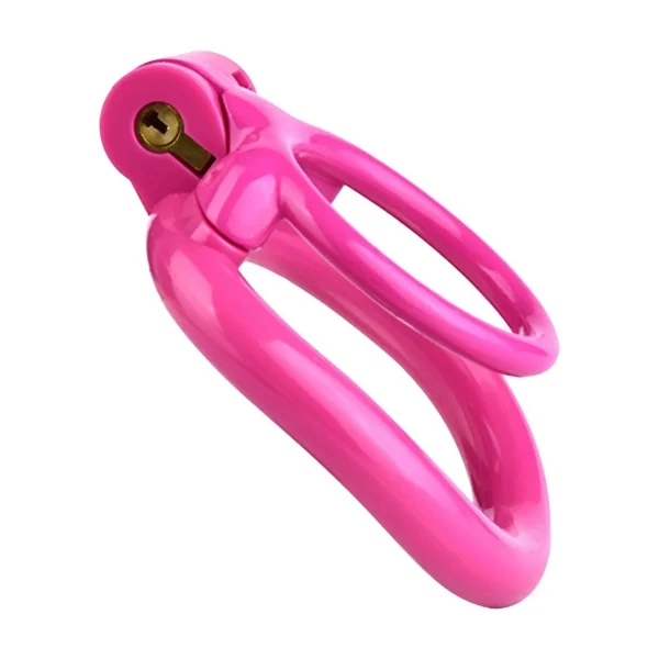 Super Price 3D Print Resin Cock Cage Delay Ejaculation Male Penis Cage Chastity Flirting Tool for Adult