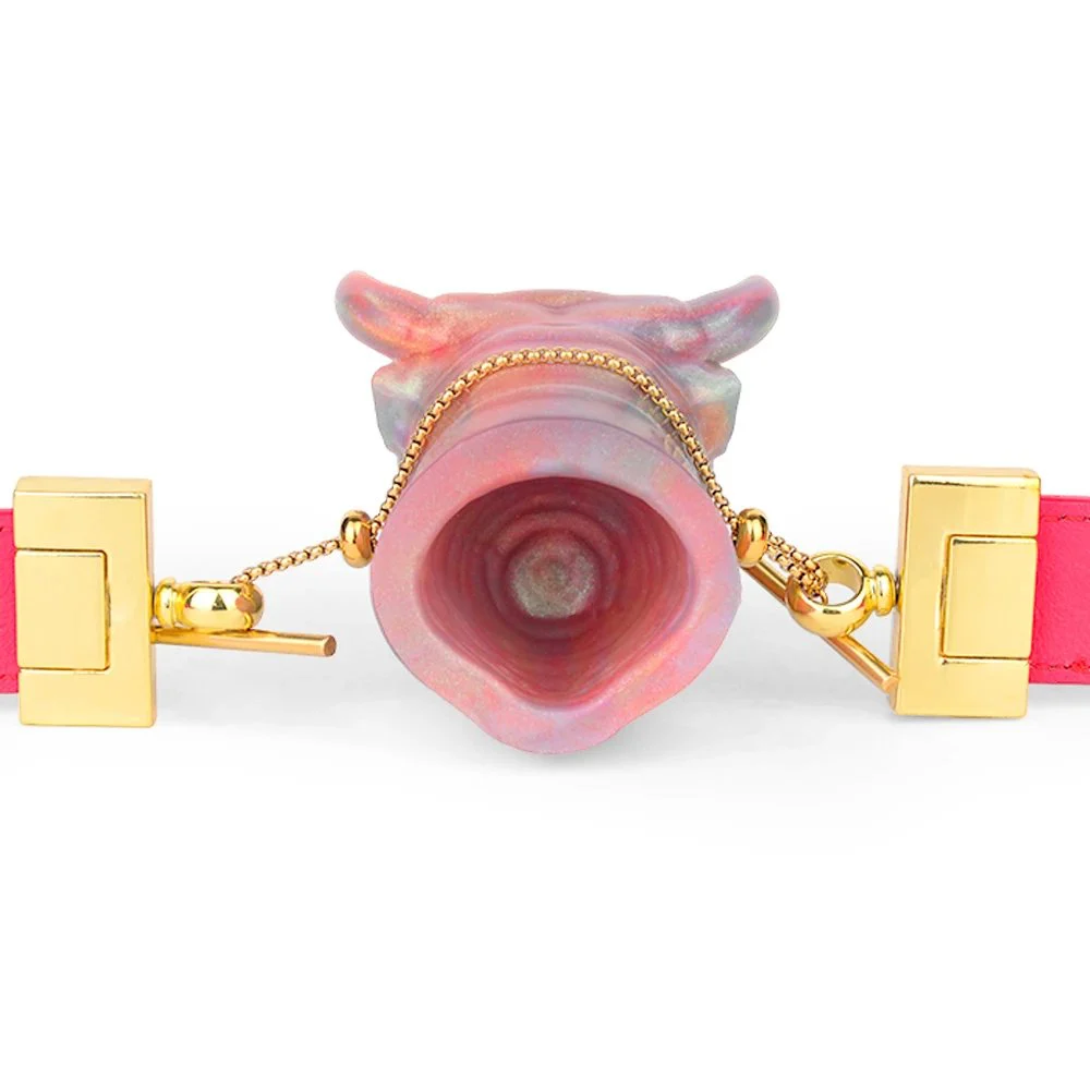 The Neon Color Series Sex Gag with High Weight and Strong Sense of Restraint Is an Effective Gag for Couples