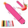 Sex Toys for Women Clitoris Stimulator Waterproof Battery 10 Speed Mini Bullet Vibrator