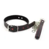 Adult Sex Bondage Heart Shape PU Leather Collar Intimate Accessory for Women Romantic Couple Play