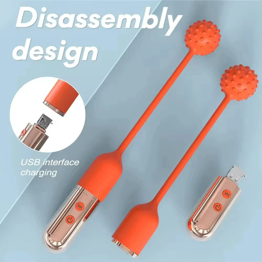 Double-Headed Silicone Vibrating Egg Detachable USB Charging Strong Vibration Waterproof High-End Female Adult Sex
