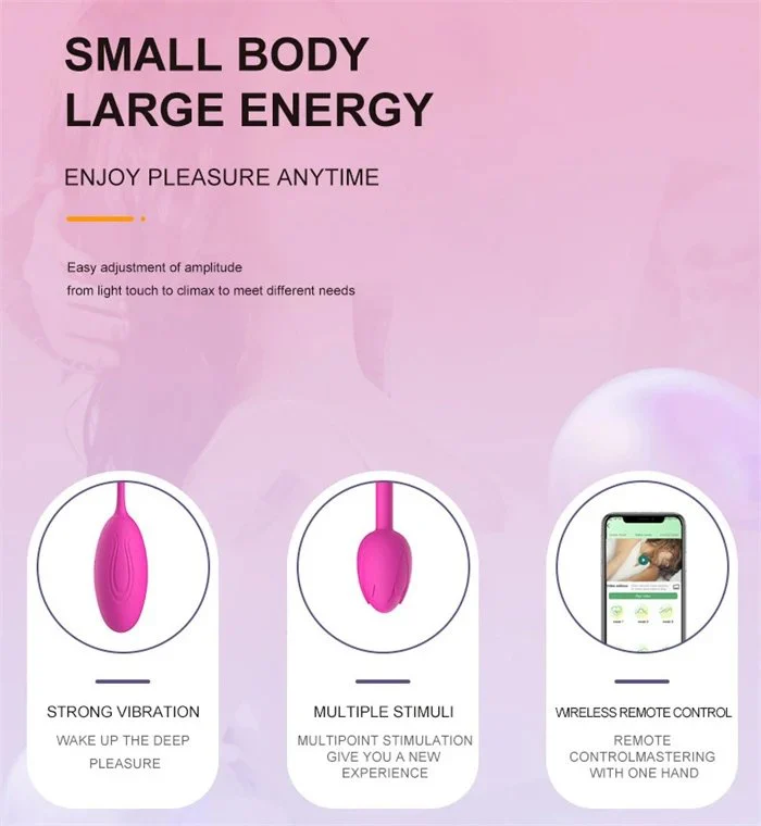 USB Rechargeable G-Spot Clit Stimulator Vibrating Egg Sex Toys for Women Vaginal Vibrators