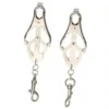 New Butterfly Design Type Adjustable Silver Metal Nipple Clamp Sex Toys Strong Breast Clamps