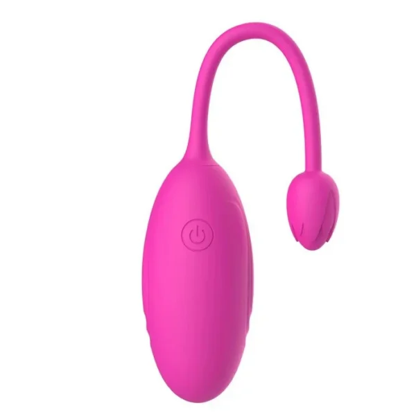USB Rechargeable G-Spot Clit Stimulator Vibrating Egg Sex Toys for Women Vaginal Vibrators