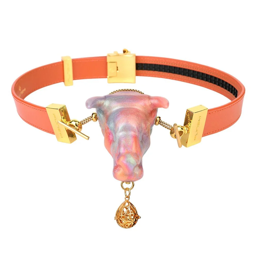 Neon Series Soft Liquid Silicone Gag Leather Bondage Fetish Gag Set Flirting Game Toy