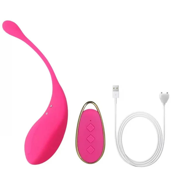Wearable for Vibrator 10 Frequencies Rechargeable Silicone Waterproof Women's Masturbation Kegel Exercise Remote