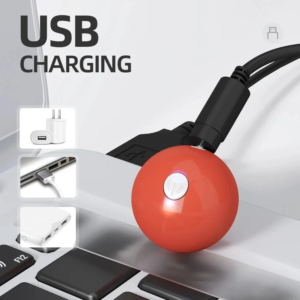 USB Rechargeable Dildo Set Remote Control Silicone Male Sex Toy with Clitoris Stimulation and Glans Vibration for Men