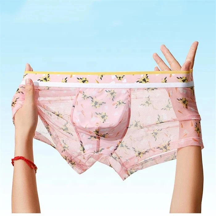 Super Thin Men Shorts Icy Silk Boxer Briefs for Men Mesh Sexy Underwear