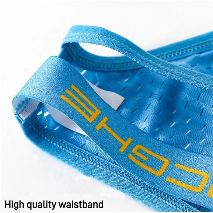 Comfortable Icy Silk Sexy Men Underwear Male Mesh Boxers Briefs for Adult Men Sexy