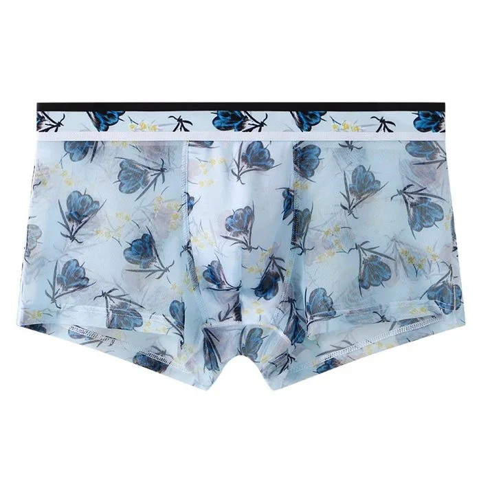 Super Thin Men Shorts Icy Silk Boxer Briefs for Men Mesh Sexy Underwear
