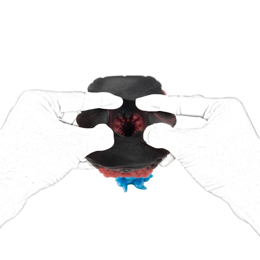 Lifelike Animal Snake Tongue Male Masturbator Pocket Pussy for Men Silicone Men's Stroker Realistic Vagina Sex Toy