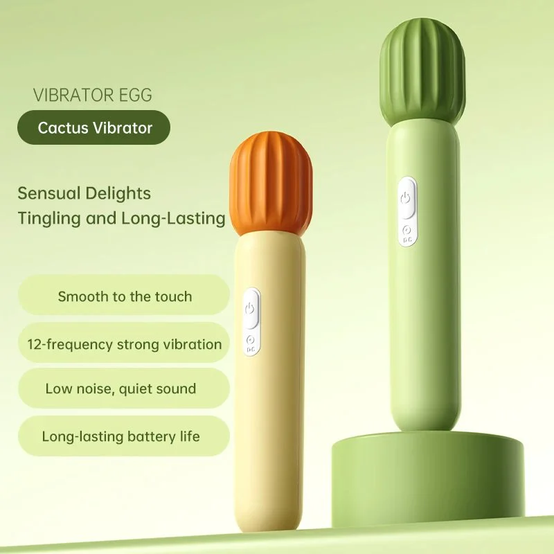 12 Kinds Vibration Frequencies Female Vibrators Cactus Appearance Silicone Material USB Rechargeable 100%