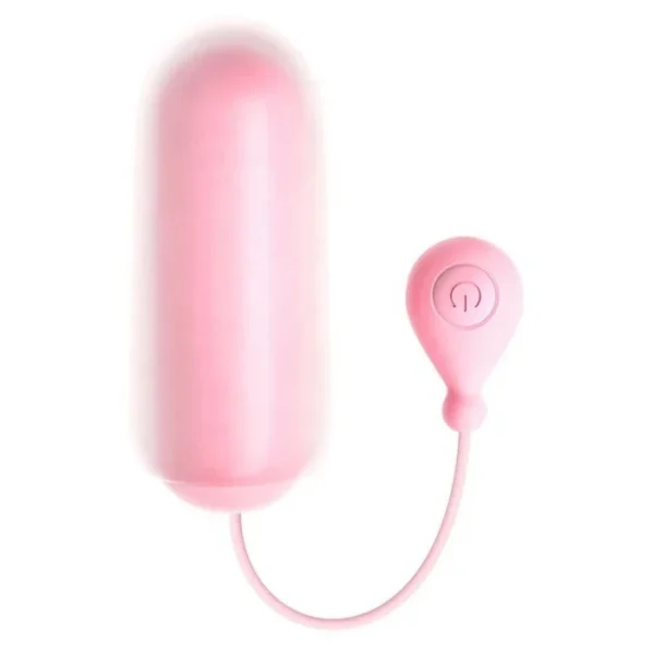 APP Controlled Adult Vibrating Egg Women's Clitoris Massage Vibrator Toys