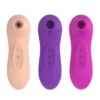 Upgraded 10 Frequency USB Powered Sex Toys Clitoral Nipple Vibrator for Female Adults and Couples