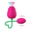 Clit Sucker Nipple Stimulator 2 in 1 Clitoral Sucking Rose Vibrator With Egg Double Flower Vibrator