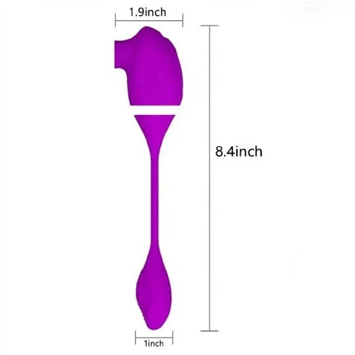 G-Spot Clitoris Nipple Sucking Vibrator with USB Vibrating Egg Includes Dildo Panty Rose Vibrators