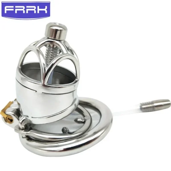 21B Men's Alternative Toys Go Out to Wear Lightweight Chastity Lock Bird Cage Travel Derailed with Lock Supplies