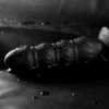 Anal Plug Prostate Vibrator for Men and Women's Masturbation Massage Adult Sex Toys