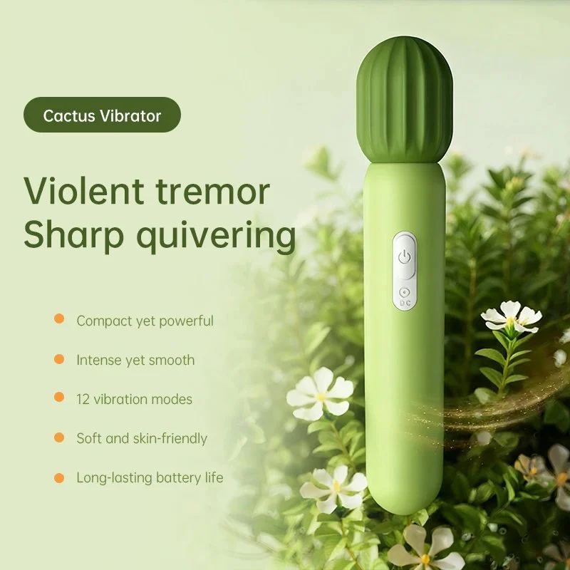 12 Kinds Vibration Frequencies Female Vibrators Cactus Appearance Silicone Material USB Rechargeable 100%