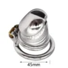 head Stainless Steel Dildos Male Chastity Device Cage for Men Lock Cock Spermary Rings Chastity Cage Lock