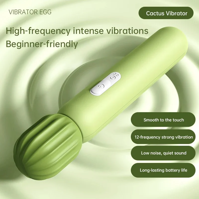 12 Kinds Vibration Frequencies Female Vibrators Cactus Appearance Silicone Material USB Rechargeable 100%