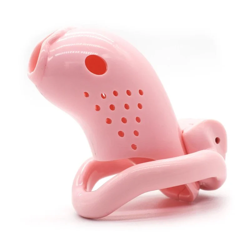 Lifelike Gold Fish Model Plastic Penis Cage 3.89 Inch Mini Cute Male Chastity Device with Four Different Size Couple Domination