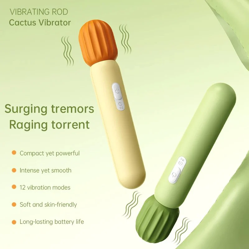 12 Kinds Vibration Frequencies Female Vibrators Cactus Appearance Silicone Material USB Rechargeable 100%
