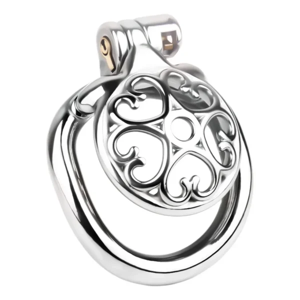 Male Mini Chastity Cage Stainless Steel Chastity Device Penis Cage Cock Ring With Lock Sex Toys for Men Sissy
