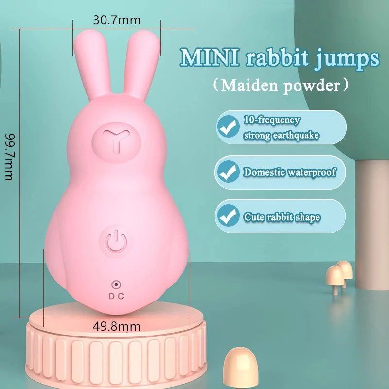 Gelance Rabbit Vibrator 10 Frequency Vibration USB Charging Adult Toys Massage Sex Vibrator for Women