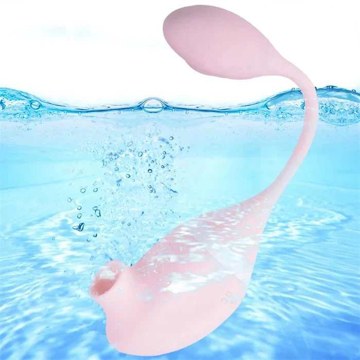 G-Spot Clitoris Nipple Sucking Vibrator with USB Vibrating Egg Includes Dildo Panty Rose Vibrators