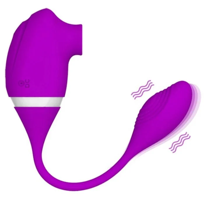 G-Spot Clitoris Nipple Sucking Vibrator with USB Vibrating Egg Includes Dildo Panty Rose Vibrators