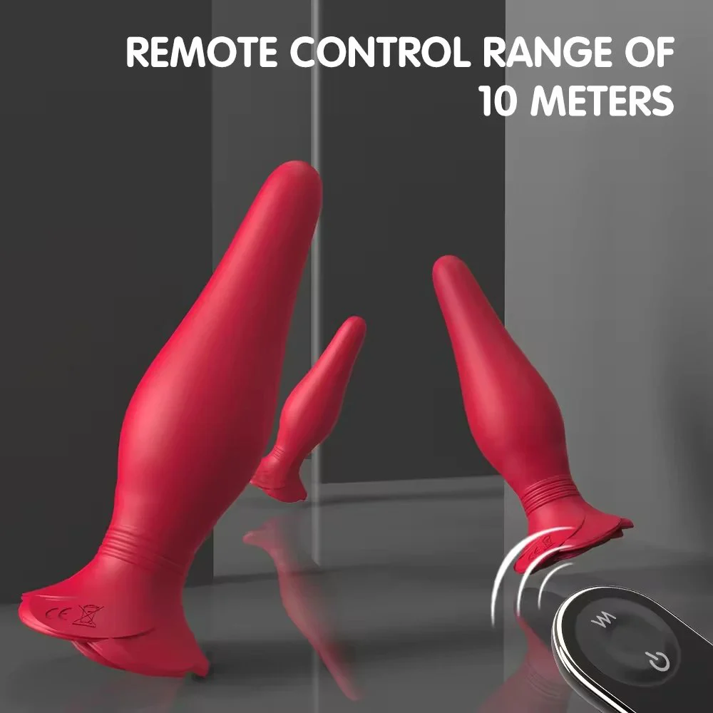Custom Anal Butt Plug Sets Rose Shape Bottom Beginner Training Anal Plug for Women
