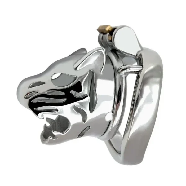 6cm Curved Ring Lock Male Penis Restrain Cage Chastity Device 304 Stainless Steel Cock Cage with Keyholder for Man