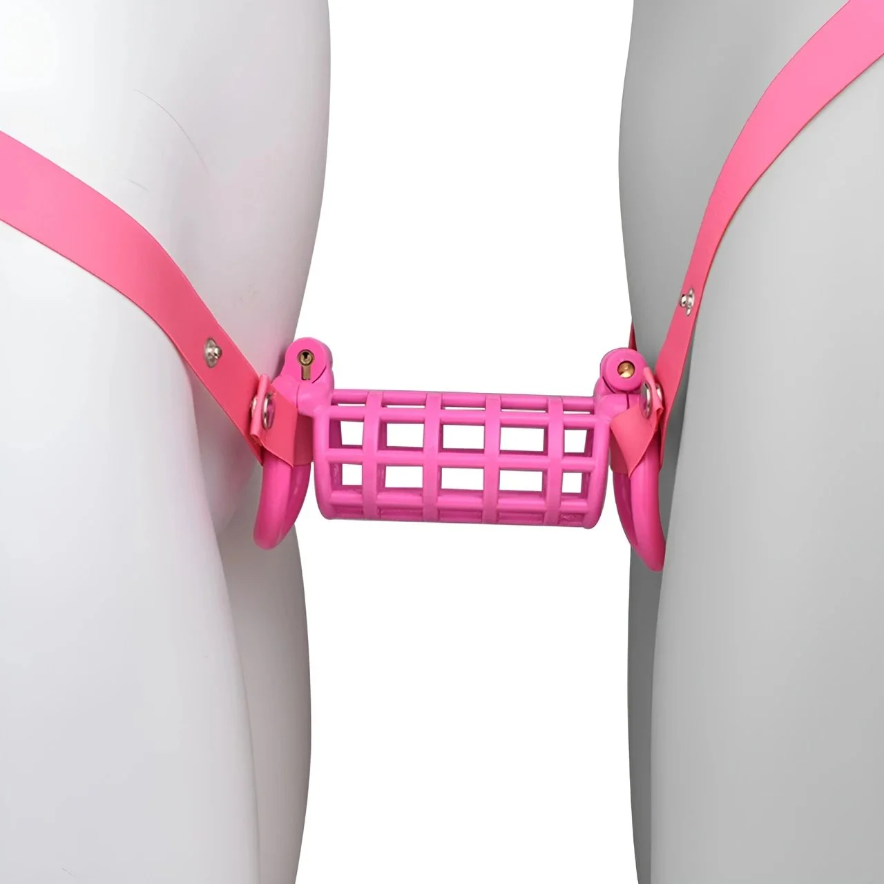 ABS Resin Chastity Lock SM Dick Cage Cock Cages Stimulation Game Sex Toy Chastity Device for Gay