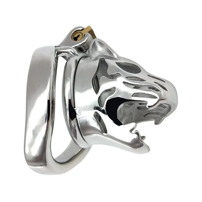 6cm Curved Ring Lock Male Penis Restrain Cage Chastity Device 304 Stainless Steel Cock Cage with Keyholder for Man
