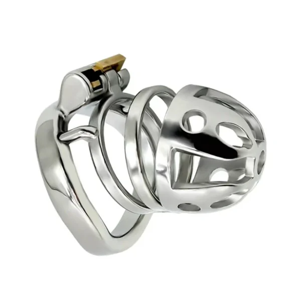 Adult Games Metal Hollow Male Chastity Lock Penis Cock Cage for Men Sex Toys