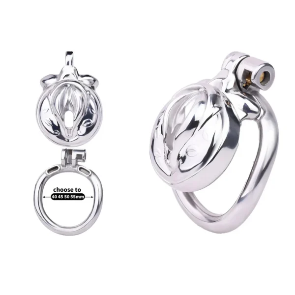 Adult Male Chastity Cage Locking Penis Rings, Small Standard Flat Cock Cage for Men