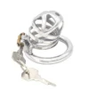 Small Snap Ring Metal Male Chastity Cage Cock Cage with Urethral Catheter for Man