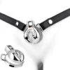 Male Chastity Device Gay Bird Cage Lock Cock Sex Restraint Ring Stainless Steel chastity cage with wearable belt