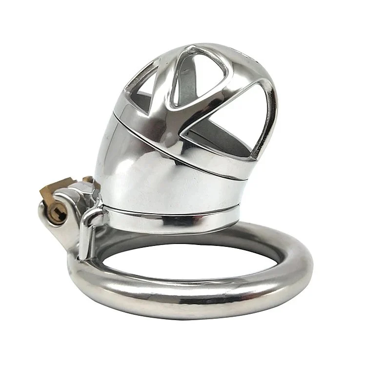 6cm SM Male Chastity Device Chastity Lock Penis in Cage with Keyholder Metal Chastity Cage for Man